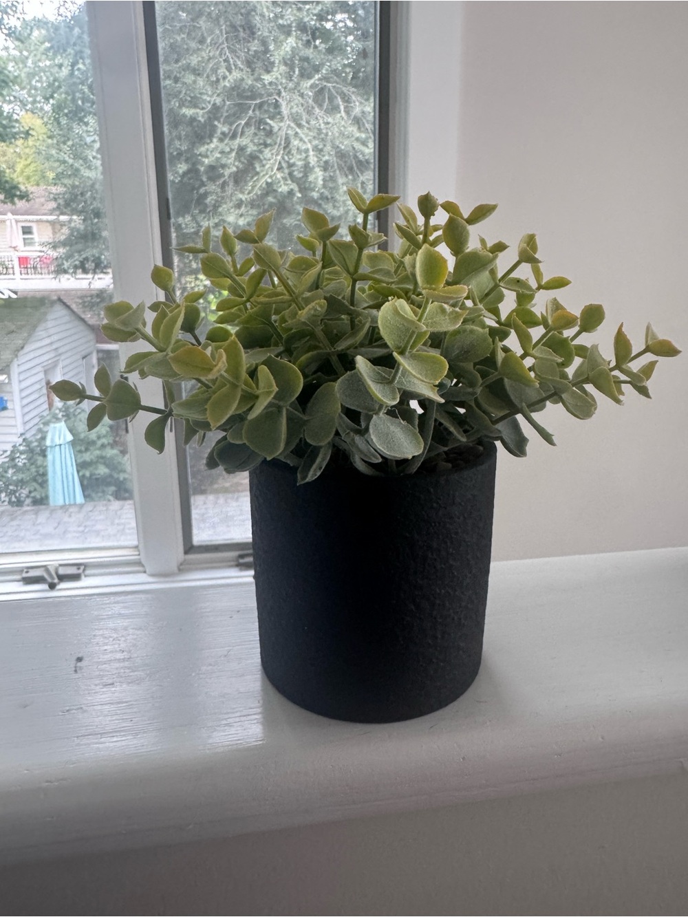 Artificial Potted Eucalyptus Plant in Black Planter - Home Accents